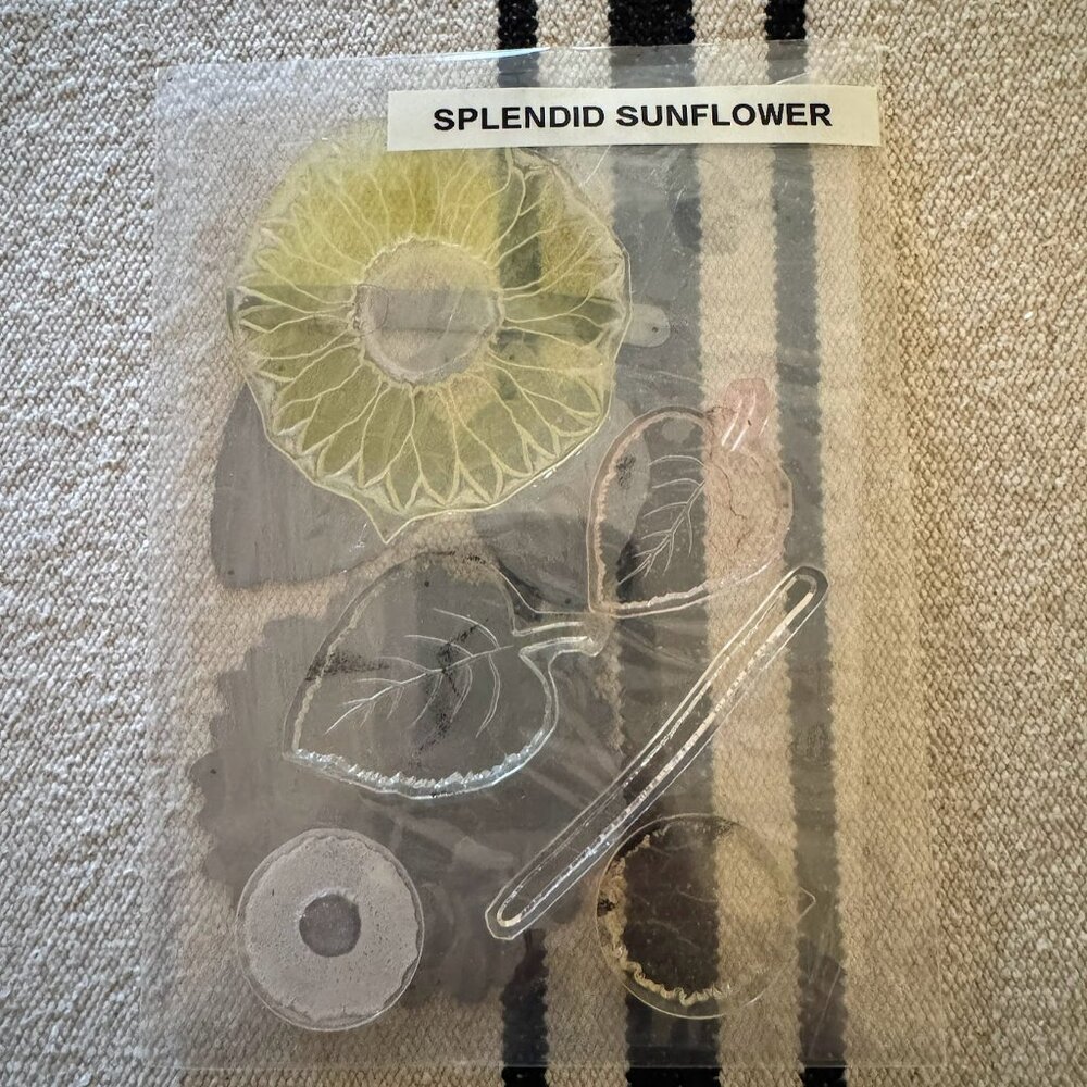 Splendid Sunflower Clear Unmounted Stamp Set